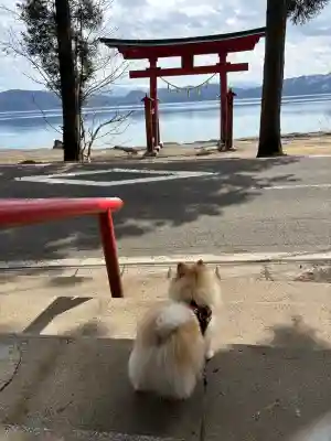 御座石神社の{uncategorized: "未分類", other: "その他", undefined: "問題あり", building: "その他建物", grave: "お墓", sacred_gate: "鳥居", guardian: "狛犬", statue: "像", buddha: "仏像", history: "歴史", nature: "自然", garden: "庭園", animal: "動物", pagoda: "塔", temizu: "手水舎", mountain_gate: "山門・神門", sanctuary: "本殿・本堂", subordinate: "末社・摂社", art: "芸術", scenery: "景色", jizo: "地蔵", ema: "絵馬", goshuin: "御朱印", omikuji: "おみくじ", items: "授与品その他", amulet: "お守り", goshuincho: "御朱印帳", eats: "食事", festival: "お祭り", votive_dance: "神楽", shichigosan: "七五三参", wedding: "結婚式", experience: "体験その他", initially: "初詣", around: "周辺", anti_infection: "感染症対策"}