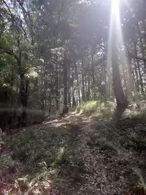 八幡神社(埼玉県)