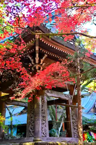 最乗寺（道了尊）(神奈川県)