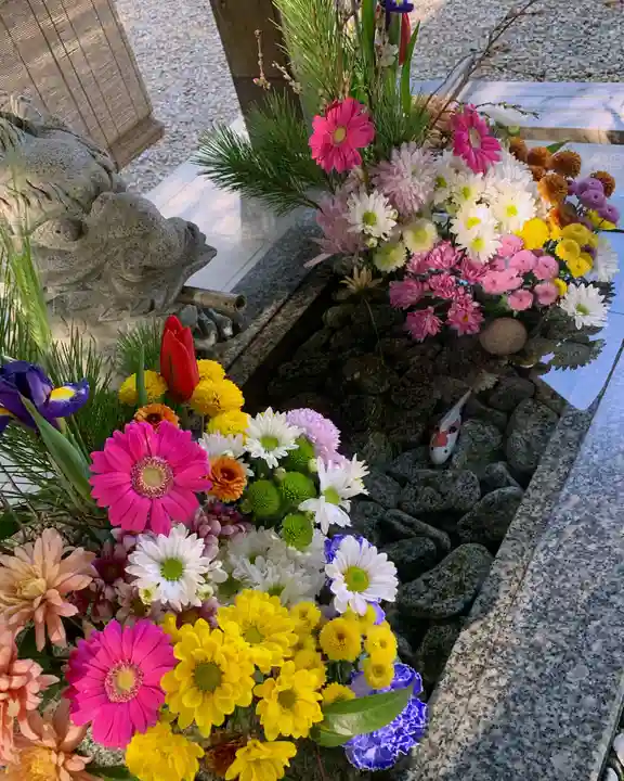 滑川神社 - 仕事と子どもの守り神の手水舎