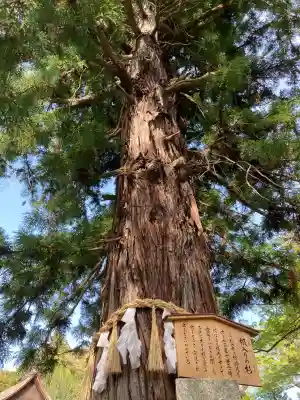 諏訪大社下社秋宮(長野県)