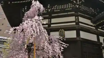 頂法寺（六角堂）のその他建物