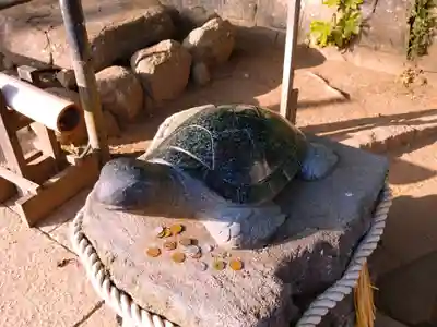 酒列磯前神社の狛犬