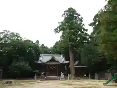 八幡宮の建物その他