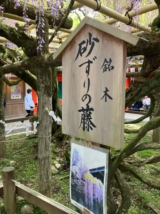 春日大社(奈良県)