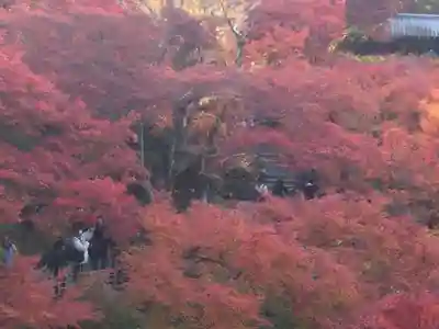 東福禅寺(東福寺)(京都府)