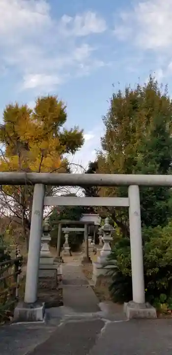 青龍神社の鳥居