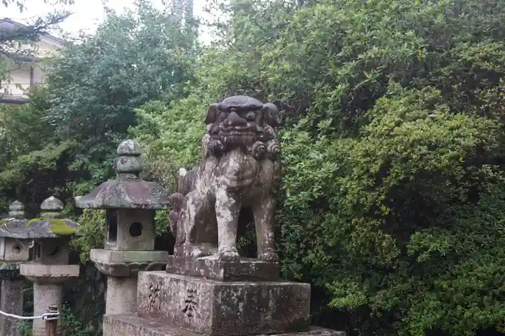 宇治神社の狛犬