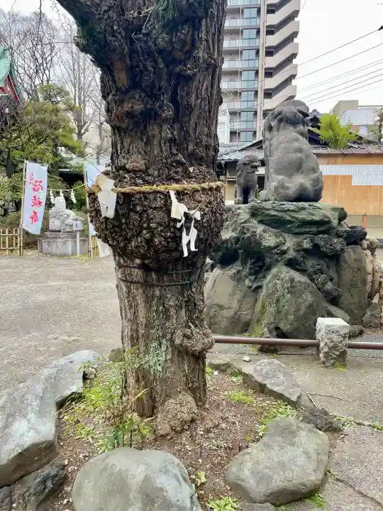 河原町稲荷神社の{uncategorized: "未分類", other: "その他", undefined: "問題あり", building: "その他建物", grave: "お墓", sacred_gate: "鳥居", guardian: "狛犬", statue: "像", buddha: "仏像", history: "歴史", nature: "自然", garden: "庭園", animal: "動物", pagoda: "塔", temizu: "手水舎", mountain_gate: "山門・神門", sanctuary: "本殿・本堂", subordinate: "末社・摂社", art: "芸術", scenery: "景色", jizo: "地蔵", ema: "絵馬", goshuin: "御朱印", omikuji: "おみくじ", items: "授与品その他", amulet: "お守り", goshuincho: "御朱印帳", eats: "食事", festival: "お祭り", votive_dance: "神楽", shichigosan: "七五三参", wedding: "結婚式", experience: "体験その他", initially: "初詣", around: "周辺", anti_infection: "感染症対策"}