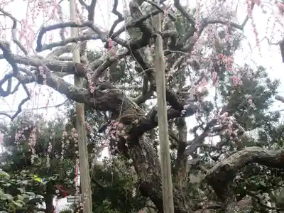 宝戒寺(神奈川県)