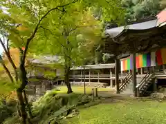 金剛院(京都府)