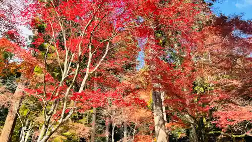 高山寺(京都府)