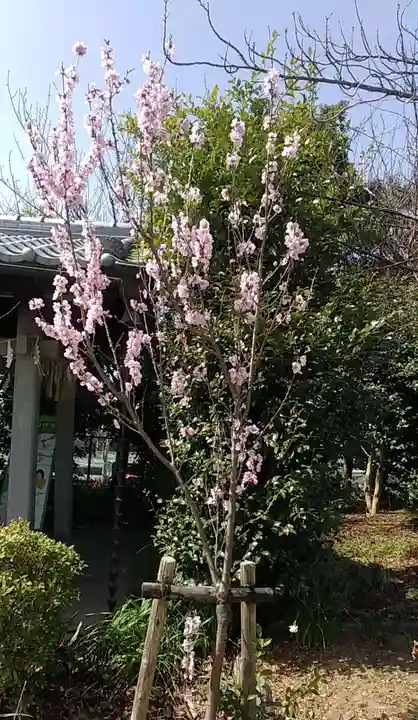 比佐豆知神社(三重県)