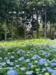 雲昌寺(秋田県)