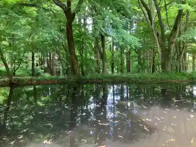 中尊寺 弁財天堂(岩手県)