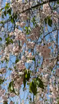 圓光寺(京都府)