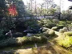 大雄院の庭園