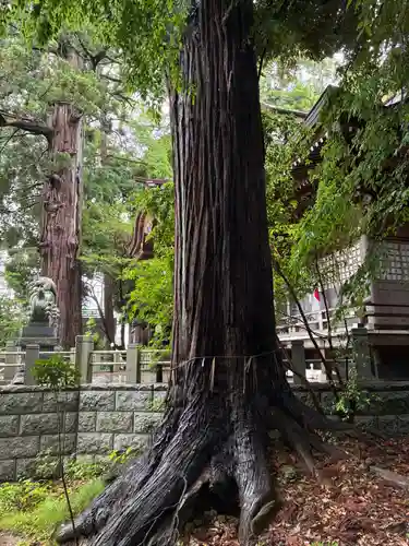 艫神社(茨城県)
