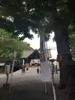 札幌諏訪神社のその他建物