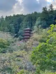 長谷寺(奈良県)