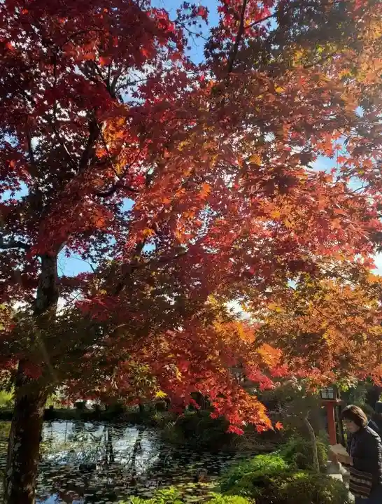 大原野神社の景色