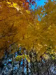 新倉富士浅間神社(山梨県)