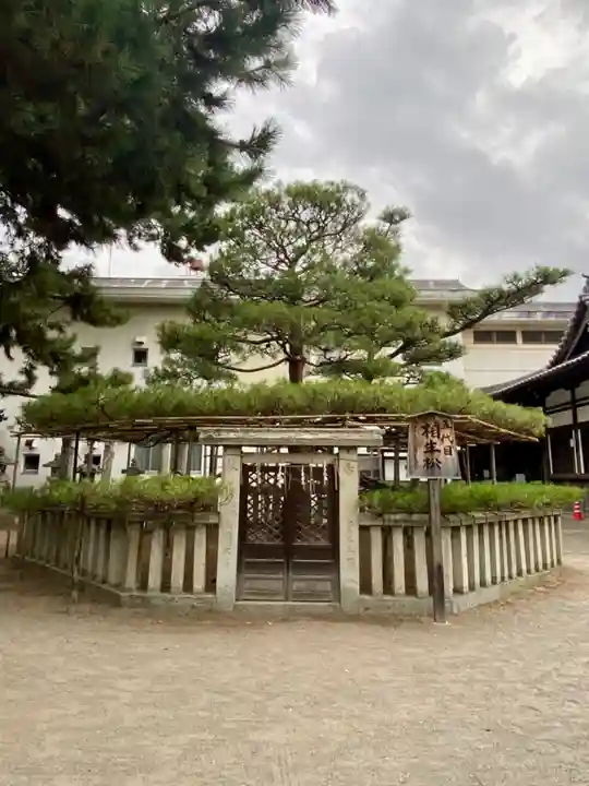 高砂神社の自然