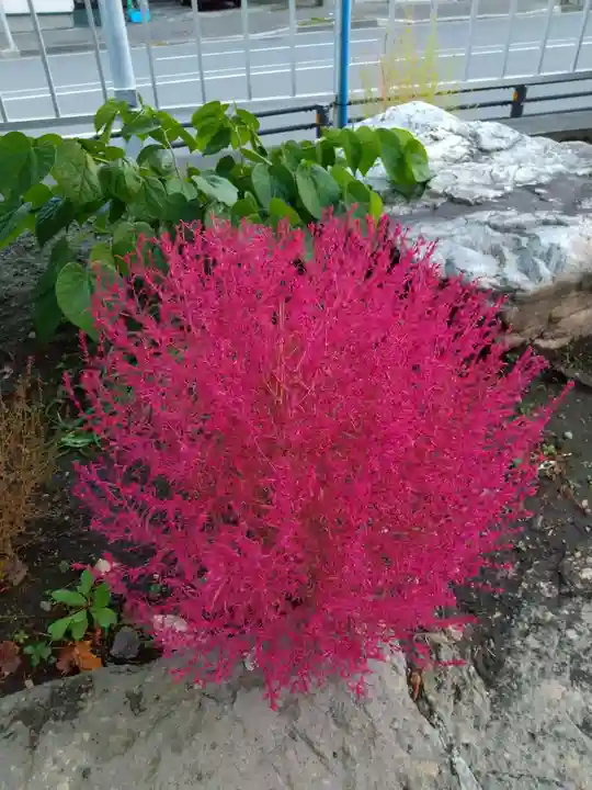 北広島市総鎮守 廣島神社(北海道)