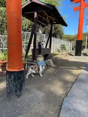 奥山稲荷社(和歌山県)