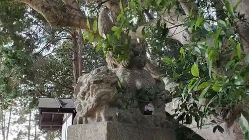 厳神社の狛犬