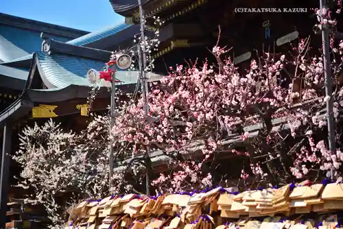 湯島天満宮(東京都)