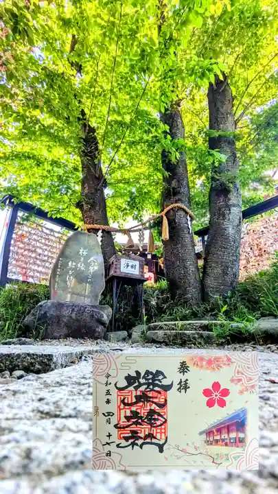 櫻木神社の御朱印
