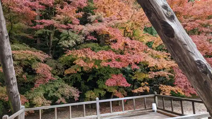 実相院門跡(京都府)