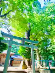 阿夫利神社の鳥居