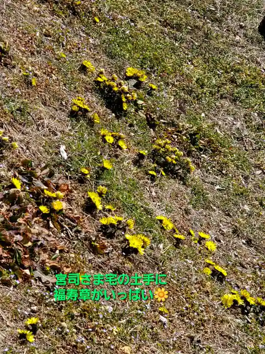 長屋神社(福島県)