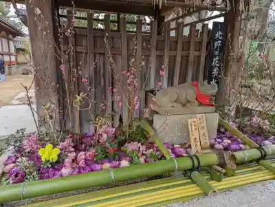 北野天満宮(京都府)