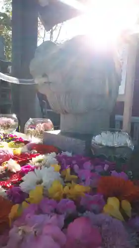 新川皇大神社の手水