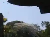 極楽寺(霊鷲山感應院極楽律寺)の景色