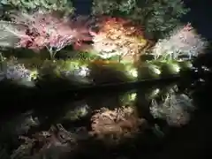 東寺（教王護国寺）の庭園