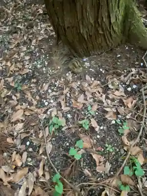 沼尾神社(茨城県)