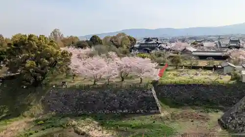 柳澤神社(奈良県)