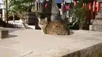 三輪神社の動物