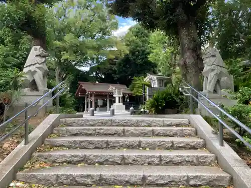 東郷神社の狛犬