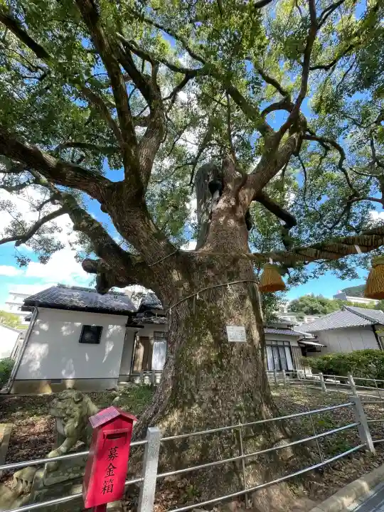 山王神社(長崎県)