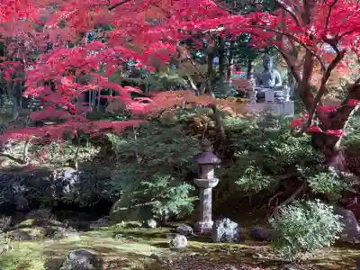 榮攝院（栄摂院）(京都府)