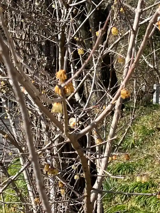 たばこ神社(栃木県)