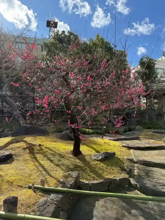 湯島天満宮の{uncategorized: "未分類", other: "その他", undefined: "問題あり", building: "その他建物", grave: "お墓", sacred_gate: "鳥居", guardian: "狛犬", statue: "像", buddha: "仏像", history: "歴史", nature: "自然", garden: "庭園", animal: "動物", pagoda: "塔", temizu: "手水舎", mountain_gate: "山門・神門", sanctuary: "本殿・本堂", subordinate: "末社・摂社", art: "芸術", scenery: "景色", jizo: "地蔵", ema: "絵馬", goshuin: "御朱印", omikuji: "おみくじ", items: "授与品その他", amulet: "お守り", goshuincho: "御朱印帳", eats: "食事", festival: "お祭り", votive_dance: "神楽", shichigosan: "七五三参", wedding: "結婚式", experience: "体験その他", initially: "初詣", around: "周辺", anti_infection: "感染症対策"}