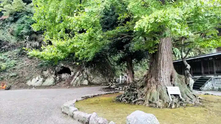 安房神社(千葉県)