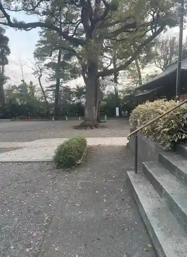 井草八幡宮(東京都)