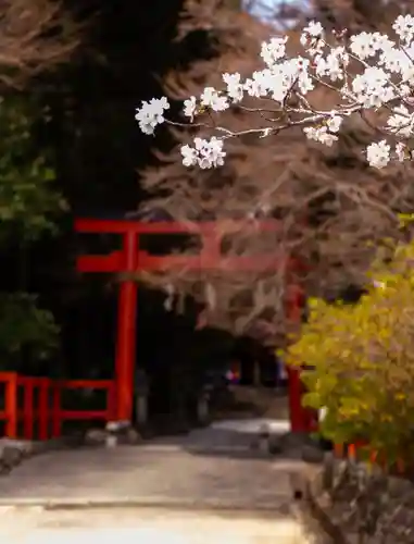 大田神社（賀茂別雷神社境外摂社）(京都府)